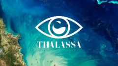 Vidéo : SeaBird sur Thalassa